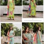 Pakistani Dress - WA0011